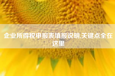 企业所得税申报表填报说明,关键点全在这里