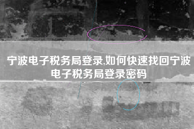 宁波电子税务局登录,如何快速找回宁波电子税务局登录密码