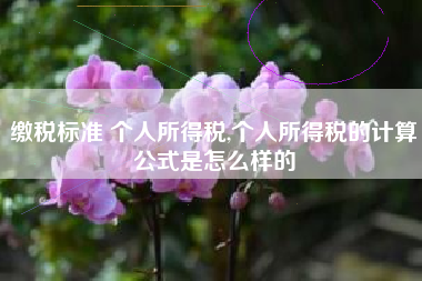 缴税标准 个人所得税,个人所得税的计算公式是怎么样的