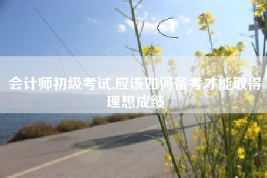 会计师初级考试,应该如何备考才能取得理想成绩