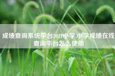 成绩查询系统平台2021小学,小学成绩在线查询平台怎么使用