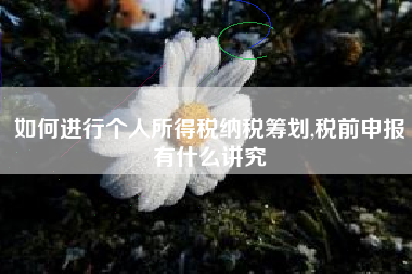 如何进行个人所得税纳税筹划,税前申报有什么讲究