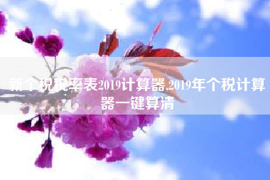 新个税税率表2019计算器,2019年个税计算器一键算清