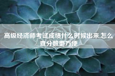 高级经济师考试成绩什么时候出来,怎么查分数更方便