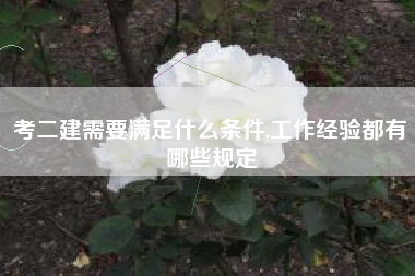 考二建需要满足什么条件,工作经验都有哪些规定