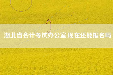 湖北省会计考试办公室,现在还能报名吗