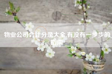 物业公司会计分录大全,有没有一步步的指南