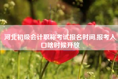 河北初级会计职称考试报名时间,报考入口啥时候开放