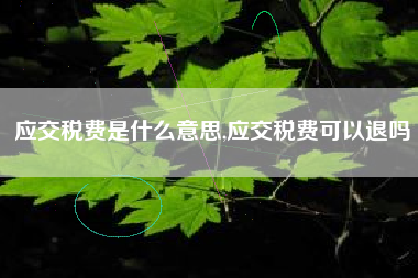 应交税费是什么意思,应交税费可以退吗