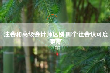 注会和高级会计师区别,哪个社会认可度更高