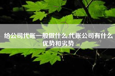 给公司代账一般做什么,代账公司有什么优势和劣势