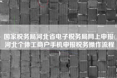 国家税务局河北省电子税务局网上申报(河北个体工商户手机申报税务操作流程
)