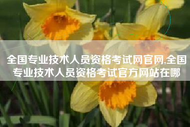 全国专业技术人员资格考试网官网,全国专业技术人员资格考试官方网站在哪