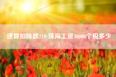 速算扣除数210(珠海工资30000个税多少
)