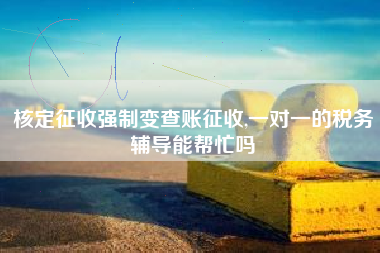 核定征收强制变查账征收,一对一的税务辅导能帮忙吗