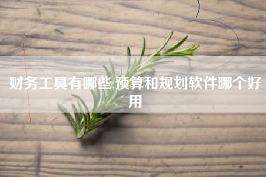 财务工具有哪些,预算和规划软件哪个好用