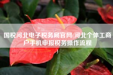 国税河北电子税务局官网(河北个体工商户手机申报税务操作流程
)