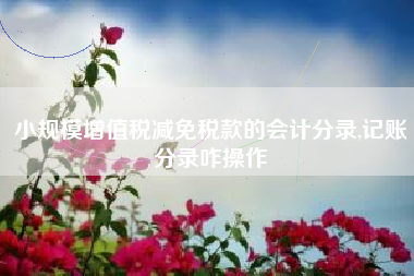 小规模增值税减免税款的会计分录,记账分录咋操作