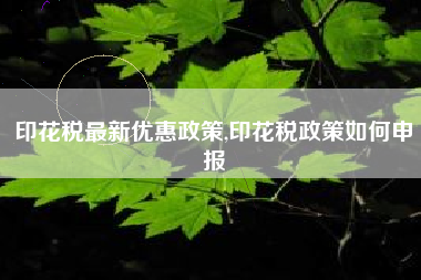 印花税最新优惠政策,印花税政策如何申报