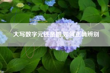 大写数字元还是圆,如何正确辨别