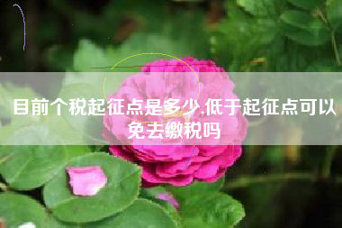 详细阅读:目前个税起征点是多少,低于起征点可以免去缴税吗 目前个税起征点是多少,低于起征点可以免去缴税吗