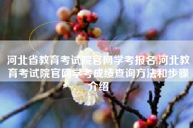 详细阅读:河北省教育考试院官网学考报名,河北教育考试院官网学考成绩查询方法和步骤介绍 河北省教育考试院官网学考报名,河北教育考试院官网学考成绩查询方法和步骤介绍