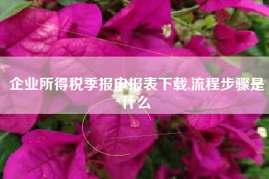 详细阅读:企业所得税季报申报表下载,流程步骤是什么 企业所得税季报申报表下载,流程步骤是什么