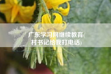 广东学习网继续教育(
村书记给我打电话)