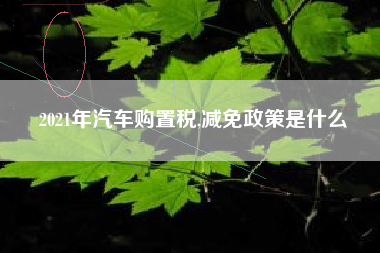 2021年汽车购置税,减免政策是什么