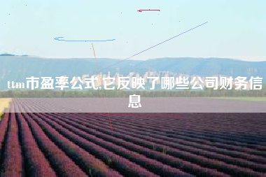 ttm市盈率公式,它反映了哪些公司财务信息