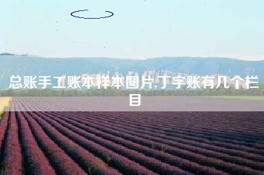 详细阅读:总账手工账本样本图片,丁字账有几个栏目 总账手工账本样本图片,丁字账有几个栏目