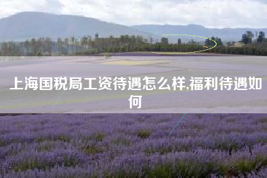 详细阅读:上海国税局工资待遇怎么样,福利待遇如何 上海国税局工资待遇怎么样,福利待遇如何