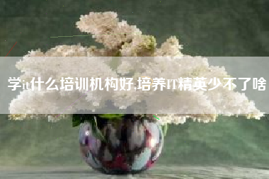 学it什么培训机构好,培养IT精英少不了啥