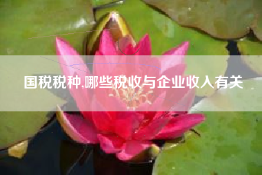 国税税种,哪些税收与企业收入有关