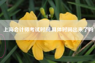 上海会计师考试时间,具体时间出来了吗