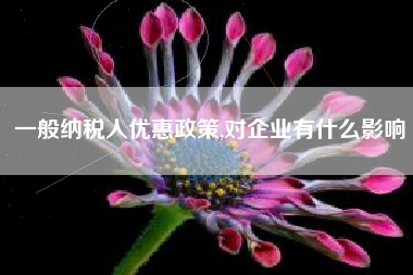 详细阅读:一般纳税人优惠政策,对企业有什么影响 一般纳税人优惠政策,对企业有什么影响