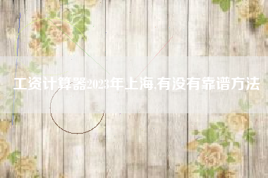 工资计算器2023年上海,有没有靠谱方法