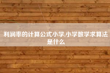 利润率的计算公式小学,小学数学求算法是什么