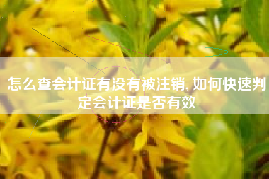 详细阅读:怎么查会计证有没有被注销, 如何快速判定会计证是否有效 怎么查会计证有没有被注销, 如何快速判定会计证是否有效