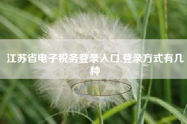 江苏省电子税务登录入口,登录方式有几种
