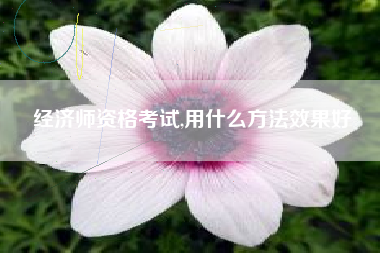 经济师资格考试,用什么方法效果好