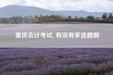 重庆会计考试, 有没有多选题啊