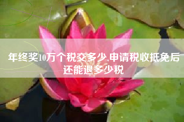 年终奖10万个税交多少,申请税收抵免后还能退多少税