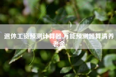 退休工资预测计算器,万能预测器算清养老金
