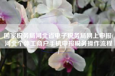 国家税务局河北省电子税务局网上申报(河北个体工商户手机申报税务操作流程
)