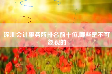深圳会计事务所排名前十位,哪些是不可忽视的