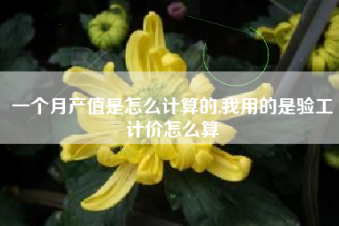 一个月产值是怎么计算的,我用的是验工计价怎么算