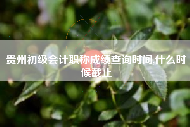 贵州初级会计职称成绩查询时间,什么时候截止
