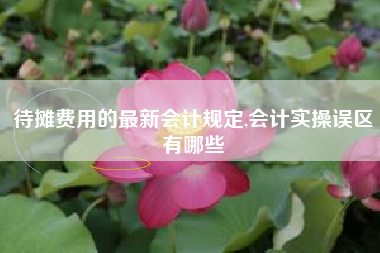 待摊费用的最新会计规定,会计实操误区有哪些