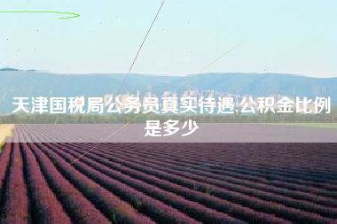 天津国税局公务员真实待遇,公积金比例是多少